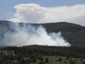Пожар в борова гора в Кюстендилско