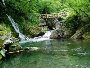 В Брюксел започва най-голямата европейска конференция за околната среда