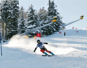 Боровец  ще е домакин на Европейската купа по ски през 2014-а