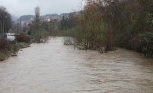 Сърбия се готви за наводненията
