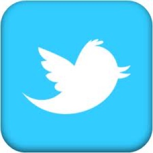 11 години затвор за публикация в Twitter