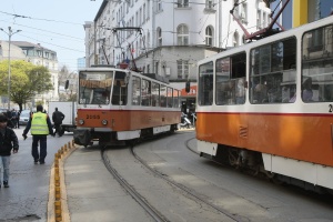Протест срещу изсичането в Борисовата градина заради трамвай