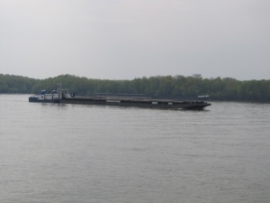 Дунав при Лом продължава да се покачва