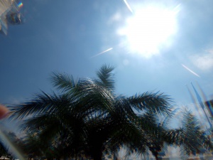 Столична община раздава вода заради жегите