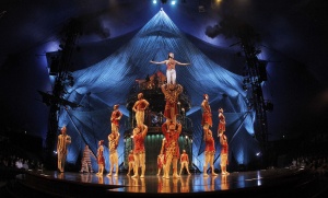 Осем са ранени след инцидент в цирк в Дания