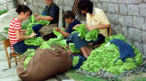 Тютюнопроизводители заплашват да блокират границите