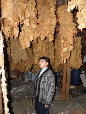 Създадоха Консултативен съвет по тютюна