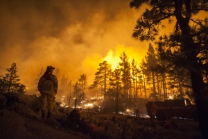 Пожар в Турция изпепели над 100 хектара гори