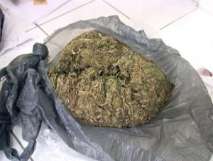 Полицията в Чирпан иззе над 1 кг канабис