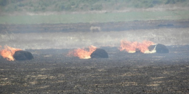 Пожари изпепелиха над 360 декара с пшеница във Видинско