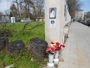 100 хил. лева обезщетение за семейството на убития от паднало дърво бургазлия