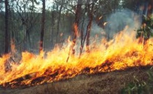 Отромeн пожар бушува край Атина