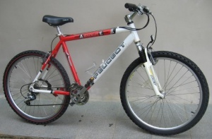 12-годишно дете загина при нелеп инцидент