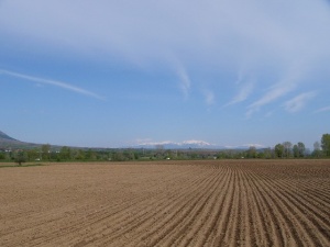 Доходността от инвестиции в земеделска земя се понижава