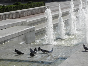 Столична община раздава вода заради жегите