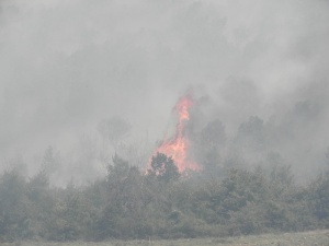 Един човек е обгорен при пожар край Сатовча
