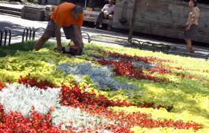 НИМХ: Жълт код за горещо време в 9 области в петък