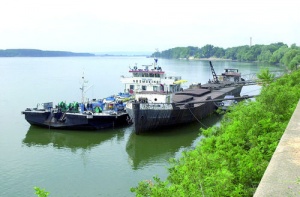 Нивото на река Дунав спада критично