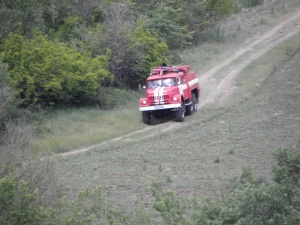 Пожарът край село Лесово е потушен