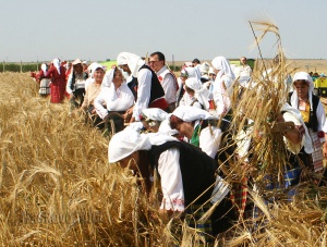 Ангел Вукодинов: “Бялата жътва” приключи на 100%