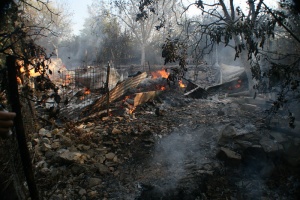 Постройки и животни изгоряха при пожар край Стара Загора