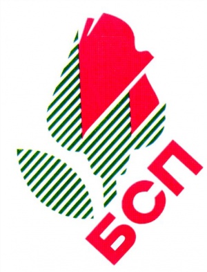 Социалисти правят собствен БСПbook