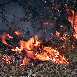 Пожар гори край софийското село Локорско