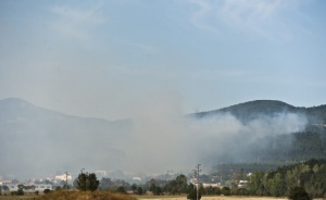 Няма горящи огнища край Локорско