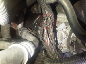 18-годишен загина от токов удар в Петрич