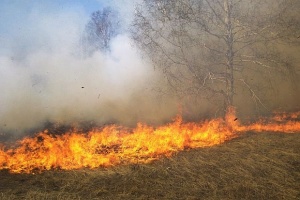 Пожарите в Старозагорско са овладяни