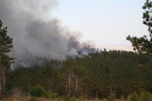 Пожарът край Свиленград е ограничен от две страни