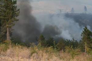 Обстановката с пожара около Свиленград е критична