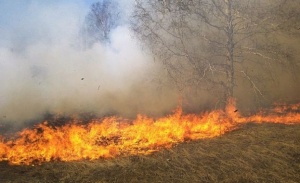 Пожарът край Свиленград не е потушен, но е локализиран