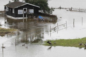 Евакуират 40 хил. души в Япония заради дъждове