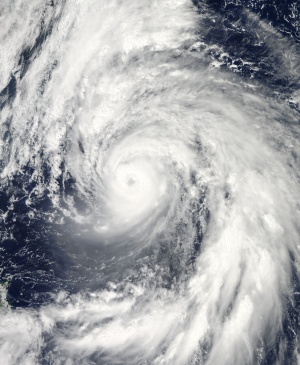 Тайфунът „Тами” нанесе щети на 125 хил. души