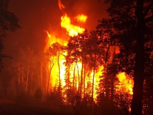 Гасят пожара край Лесово
