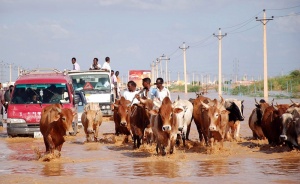 Над половин милион са засегнати от наводненията в Судан