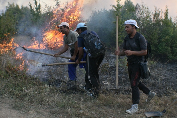 Овладени са пожарите край Стара Загора и Варна, край Харманли е потушен