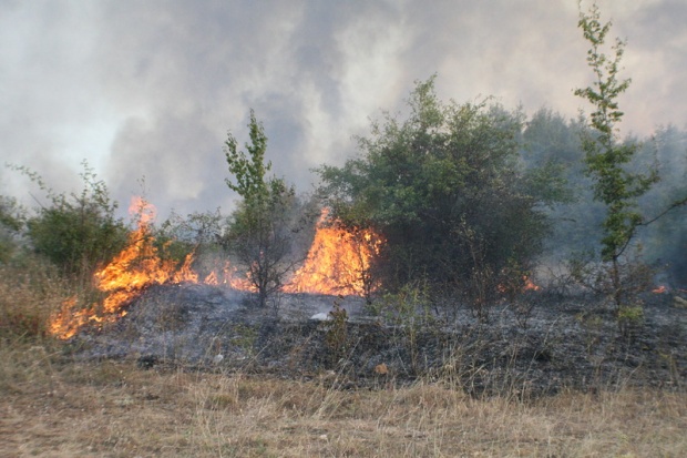 35 военни гасят пожари в Елхово