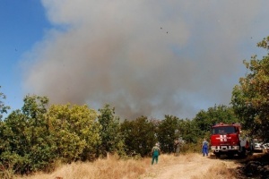 Пожар гори по северния склон от ямболския парк "Боровец"