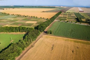 Земеделци искат дебат за купуването на земеделски земи от чужденци