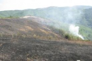 Пожарът в ямболския парк „Боровец“ е локализиран