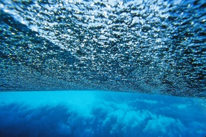 Подводни вълни в Тихия океан достигат височина над 240 метра
