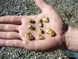 „Радикално крило на протеста „Народовластие“ организира протест срещу концесиите за златодобив