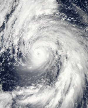 Тайфун погуби 25 души в Китай