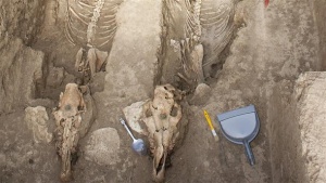 Тракийска колесница на 25 века откриха край Свещари