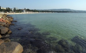 Черно море е силно замърсено с пластмасови отпадъци