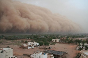 Един милион евакуирани и 5 загинали след циклона „Файлин" в Индия