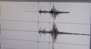 Трусът във Вранча е усетен и в България