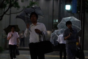 13 са жертвите на тайфуна „Випа”